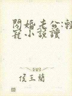 闪婚老公:轻点宠小说读