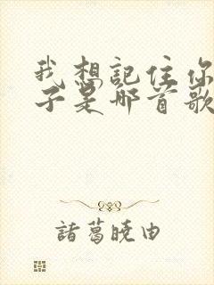 我想记住你的样子是哪首歌的歌词