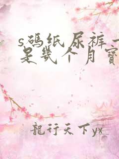 s码纸尿裤一般是几个月宝宝穿