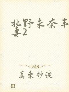 北野未奈丰之人妻2