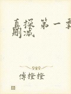 真探 第一季未删减