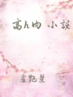 高h肉 小说