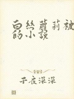 白丝萝莉被调教的小说