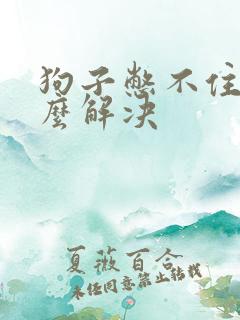 狗子憋不住尿怎么解决