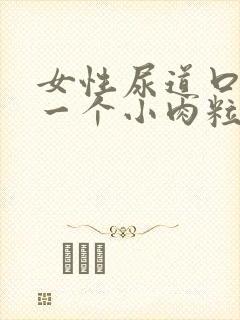 女性尿道口长了一个小肉粒是怎么回事