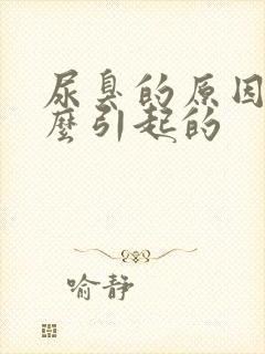 尿臭的原因是什么引起的