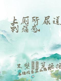 上厕所尿道口有刺痛感