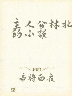 主人公林北苏婉的小说