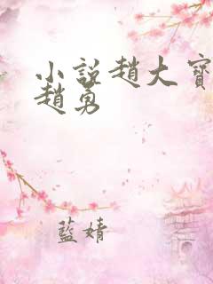小说赵大宝苏媚赵勇