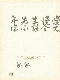 年先生慢慢喜欢你小说全文免费阅读