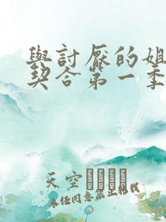 与讨厌的姐姐超契合第一季全集免费观看