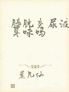 膀胱炎尿液是氨臭味吗