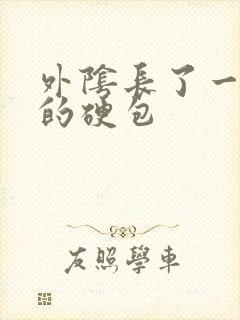 外阴长了一个小的硬包