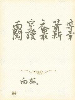 南宝衣萧弈免费阅读最新章节