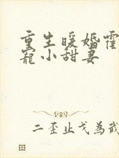 重生暖婚霍总狠宠小甜妻