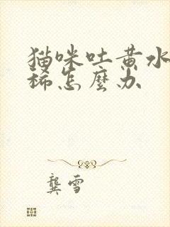 猫咪吐黄水还拉稀怎么办