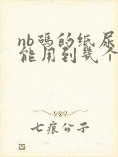 nb码的纸尿裤能用到几个月