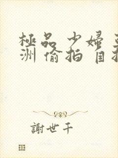 极品 少妇 亚洲 偷拍 自拍