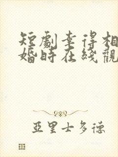 短剧幸得相遇离婚时在线观看