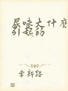 尿味大什么原因引起的