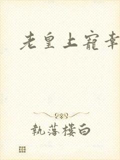 老皇上宠幸男妃