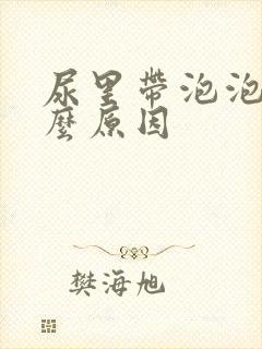 尿里带泡泡是什么原因