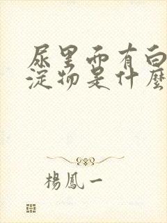 尿里面有白色沉淀物是什么原因