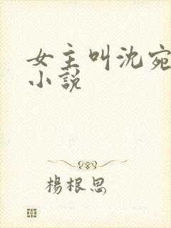 女主叫沈宛瑜的小说