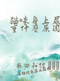 猫咪身上尿骚味重什么原因