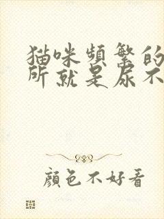 猫咪频繁的上厕所就是尿不出怎么治