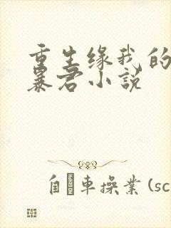 重生缘我的温柔暴君小说