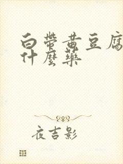 白带黄豆腐渣用什么药