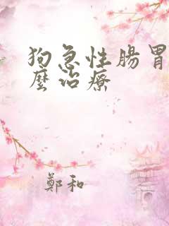 狗急性肠胃炎怎么治疗