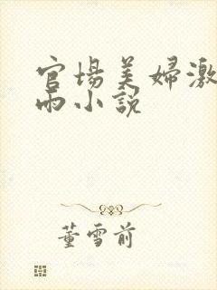 官场美妇激情云雨小说