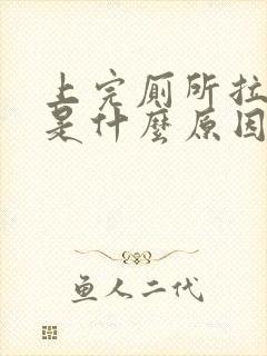 上完厕所拉出血是什么原因