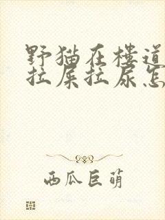 野猫在楼道到处拉屎拉尿怎么办