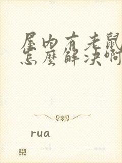 屋内有老鼠尿味怎么解决啊