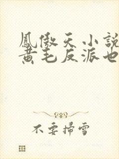 凤傲天小说里的黄毛反派也想要幸福生活