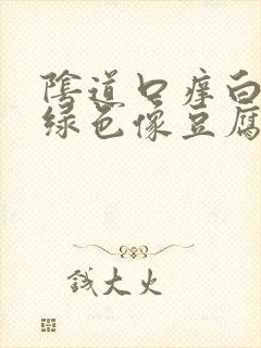 阴道口痒白带黄绿色像豆腐渣