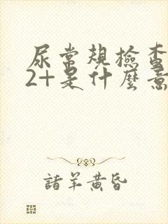 尿常规检查隐血2+是什么意思