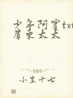 少年阿宾txt房东太太