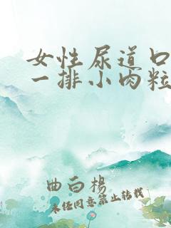 女性尿道口长了一排小肉粒