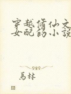 穿越修仙文恶毒女配的小说