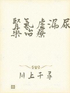 肾气虚漏尿的中药治疗