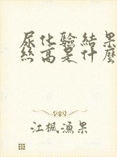 尿化验结果粘液丝高是什么原因