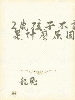 2岁孩子不说话是什么原因引起的