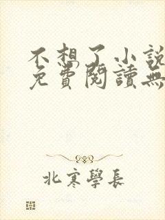 不想了小说全文免费阅读无弹窗