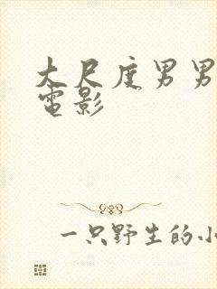 大尺度男男同志电影