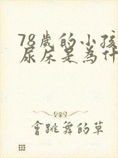 78岁的小孩总尿床是为什么