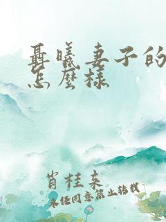 聂曦妻子的结局怎么样